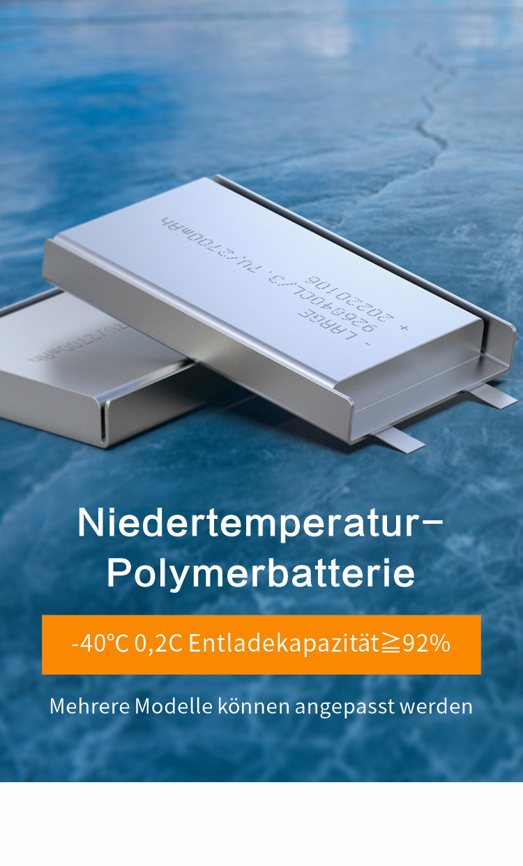 Niedertemperatur-Polymerzelle